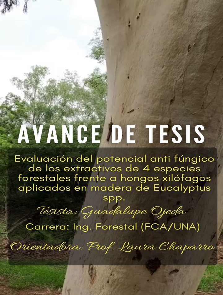 Evaluación del potencial antifúngico de extractivos de cuatro especies forestales en Eucalyptus spp