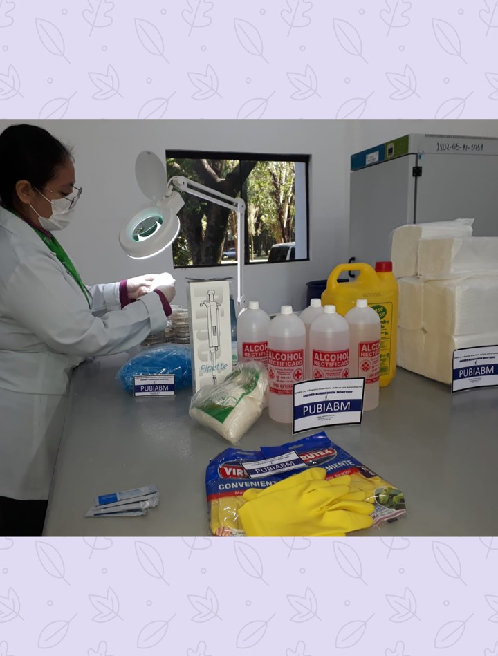 Avance del trabajo experimental