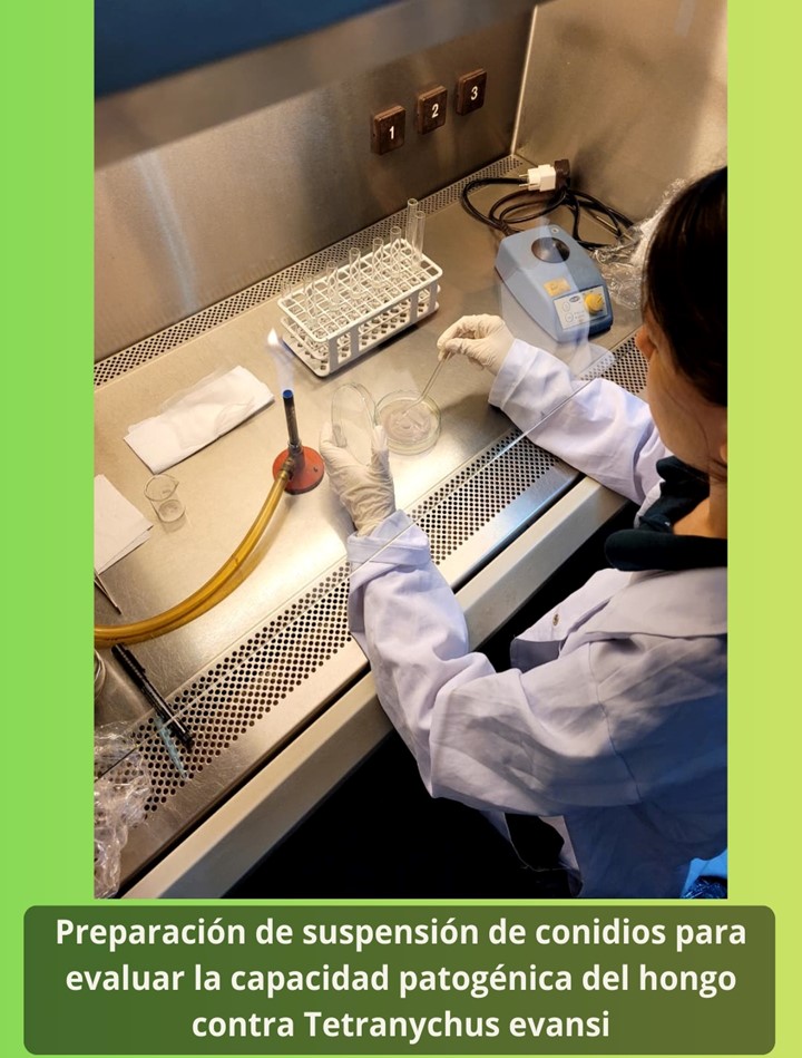 PUBIABM fortalece la investigación universitaria