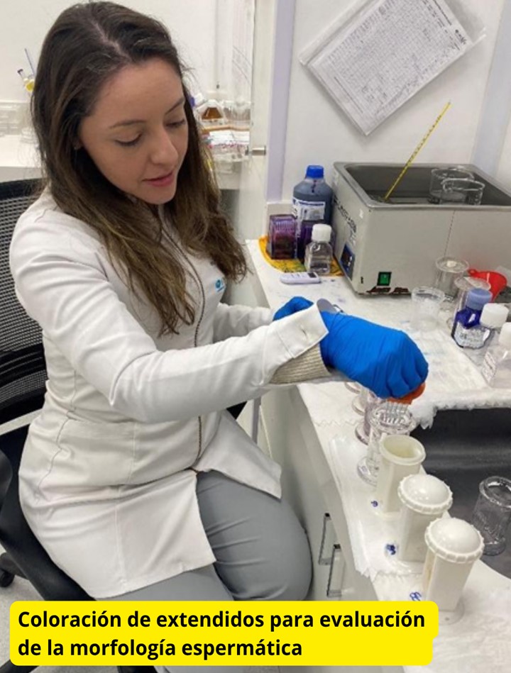 Avances de investigación apoyada por el PUBIABM
