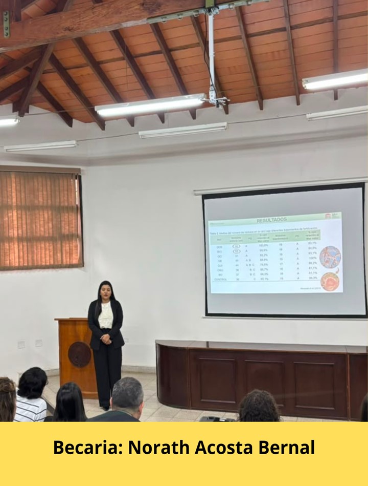 Difusión de resultados de investigaciones apoyadas por el PUBIABM