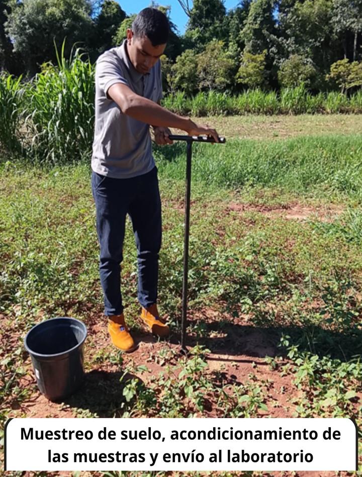 Avances de investigación en el ámbito agronómico