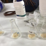 Preparación del agua peptonada a ser utilizado en los análisis microbiológicos