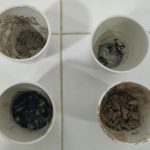 En la foto se observan cuatro crisoles, cada uno contiene diferentes muestras las cuales son: gallinaza, lodo de una planta, agua residual y estiércol bovino. Se observa de este color ya que fueron sometidos a altas temperaturas para poder obtener los valores de sólidos totales y sólidos volátiles.