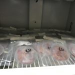 Refrigeración a 4° de las hamburguesas cubiertas con el film