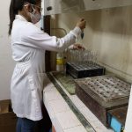 Adicionando 2 ml de peróxido de hidrógeno en el proceso digestión para la extracción de fósforo residual.