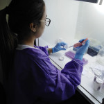 Proceso de extracción de ADN de muestras cervicales, para su posterior tipificación por PCR seguida de hibridación reversa en línea, y por Multiplex PCR en tiempo real