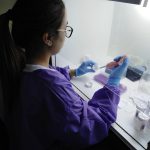 Proceso de extracción de ADN de muestras cervicales, para su posterior tipificación por PCR seguida de hibridación reversa en línea, y por Multiplex PCR en tiempo real