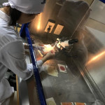 Lectura de microorganismos en estereoscopio para realizar posteriormente el conteo de UFC/gr.