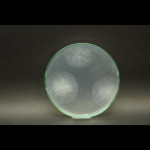 Control realizado 24hs después de la inoculación in vitro de Rhizopusspp