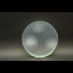 Control realizado 24hs después de la inoculación in vitro de Rhizopusspp