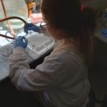 Se muestra el momento de introducción del miniblotter al horno para incubación de la membrana sensibilizada con sondas específicas para tipos de Virus del Papiloma Humano (VPH)