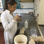 Proceso de extracción de resina de intercambio aniónico posterior a su agitación en contacto con 10 ml de agua destilada por 16 horas.
