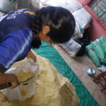 Formulación y preparación de balanceados con sus diferentes tratamientos.