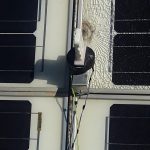 Lectura de sensores a la Intemperie. Se fijan ambos sensores en un soporte y se coloca en el plano de los paneles solares a modo de obtener lecturas en tiempo real en días soleados. Esto ayuda a fijar el intervalo de operación de los sensores.