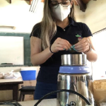 Molienda fina de hojas de yerba mate de cada unidad experimental durante 1 minuto.