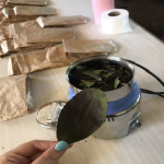 Molienda fina de hojas de yerba mate de cada unidad experimental durante 1 minuto.