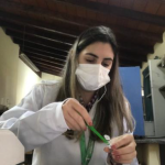 Pesaje de 1 g yerba mate para posterior determinación de concentración de N, P y K.