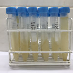 Tubos con muestras de glicerol.