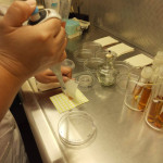 Análisis microbiológico del producto.