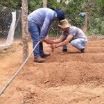 Perforación de caño en el proceso de instalación de cintas de goteo.