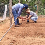 Perforación de caño en el proceso de instalación de cintas de goteo.