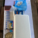 Preparación de todos los materiales a utilizar con los desinfectantes y antisépticos correspondientes, cuidando el bienestar animal