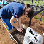 Carga de sustratos en tubetes