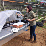 Primeras mediciones: longitud de estacas y diámetro de las mismas