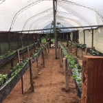 Instalación de canaletas