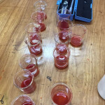 Zumo de los frutos por repetición y tratamiento a ser evaluados según las variables y las metodologías correspondientes