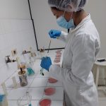 Realización de los análisis microbiológicos.
