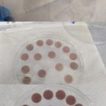Muestras de películas para determinación de % de solubilidad en agua
