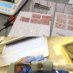 Determinaciones de humedad y espesor de las películas biodegradables