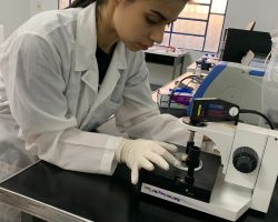 Colocación de la muestra fósil en la zona de colecta, asegurando que el ejemplar quede lo más perpendicular posible al láser.