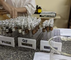 Preparación de extracciones inorgánicas para hallar fósforo orgánico mediante uso de autoclave