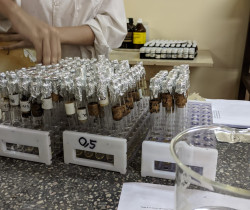 Preparación de extracciones inorgánicas para hallar fósforo orgánico mediante uso de autoclave