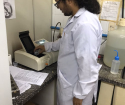 Lectura de valores de fósforo en cada extracción mediante uso de espectrofotómetro