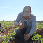 Proceso de extracción de muestras para densidad aparente del suelo.