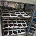 Cargado de las muestras en estufa para obtención del peso seco del suelo.