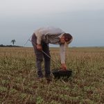 Obtención de las muestras para materia orgánica en la profundidad de 0 a 10 cm, con ayuda de barrenador.