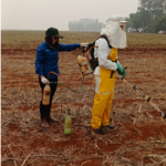 Delimitación de la parcela y aplicación de herbicidas pre emergentes en pre siembra de soja Delimitación de la parcela y aplicación de herbicidas pre emergentes en pre siembra de soja