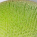EXIF_HDL_ID_1