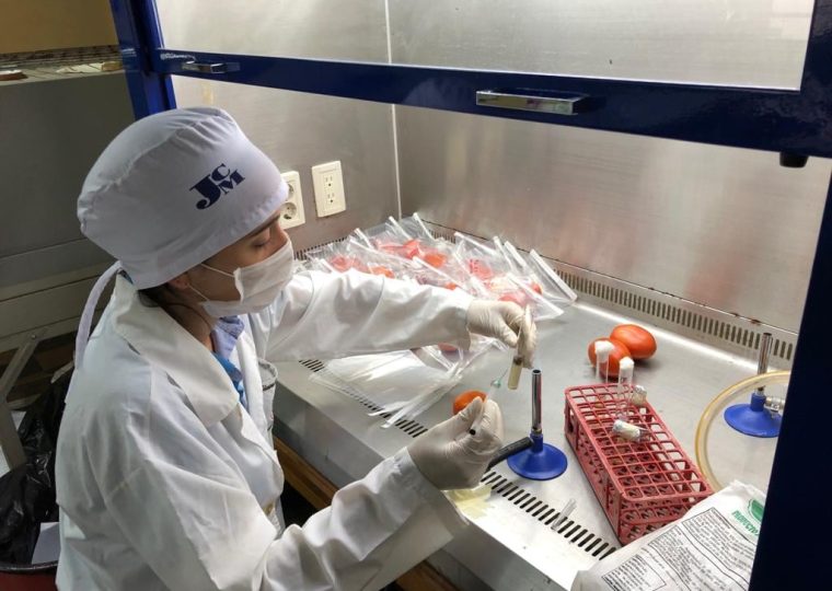 Inoculación in vivo de Rhizopusspp. en las muestras (tomates) para posterior aplicación de la luz UV