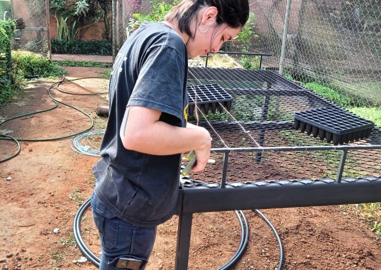 En proceso de armaje de la mesa enraizadora