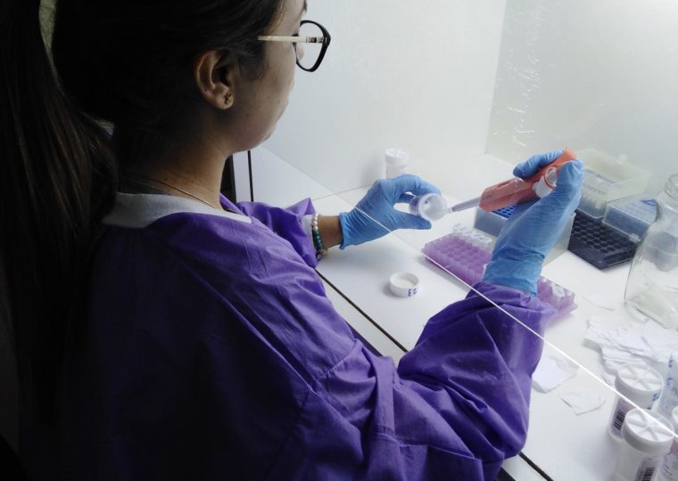 Proceso de extracción de ADN de muestras cervicales, para su posterior tipificación por PCR seguida de hibridación reversa en línea, y por Multiplex PCR en tiempo real