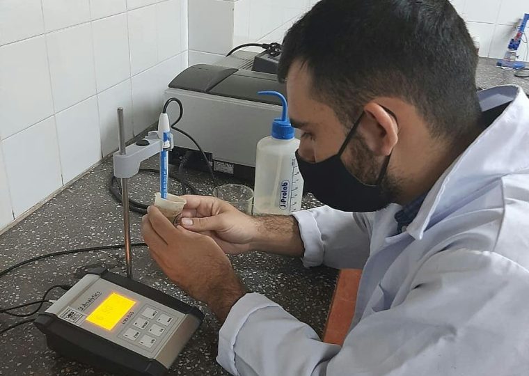 Lectura de pH de las muestras de suelos a las cuales fueron aplicadas distintas dosis de azufre elemental