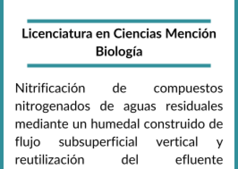 _Becarios 2019 (9)