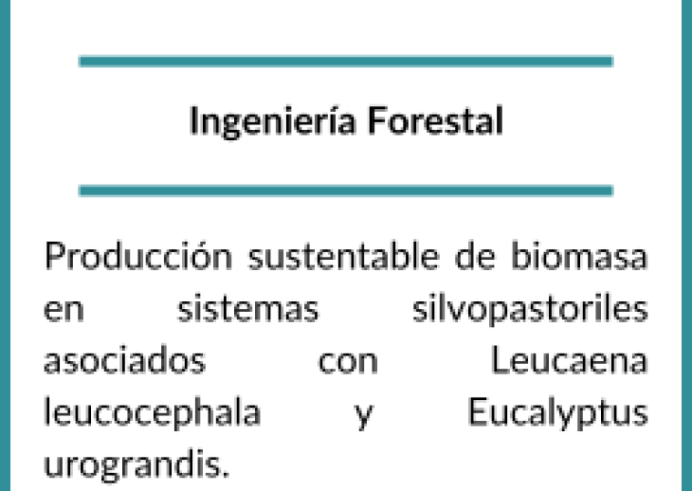 Becarios 2020 (1)