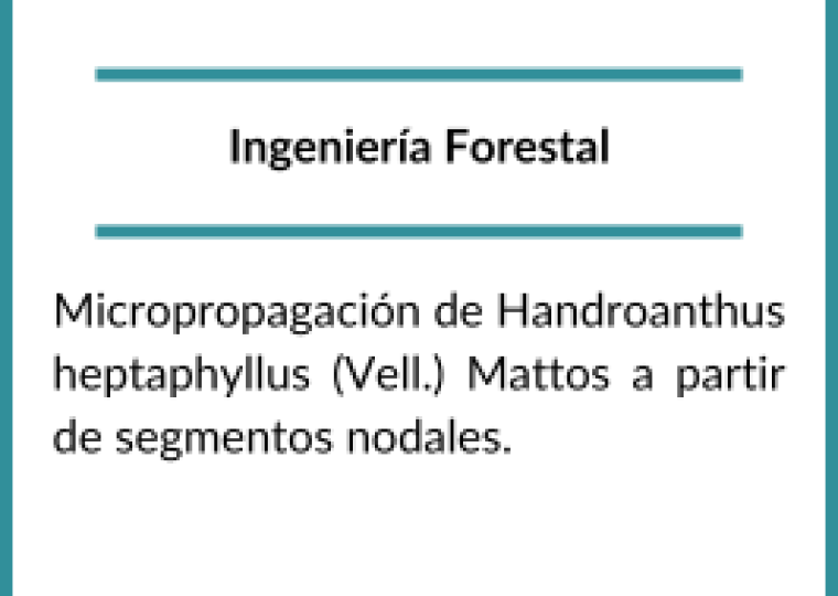 Becarios 2020 (10)